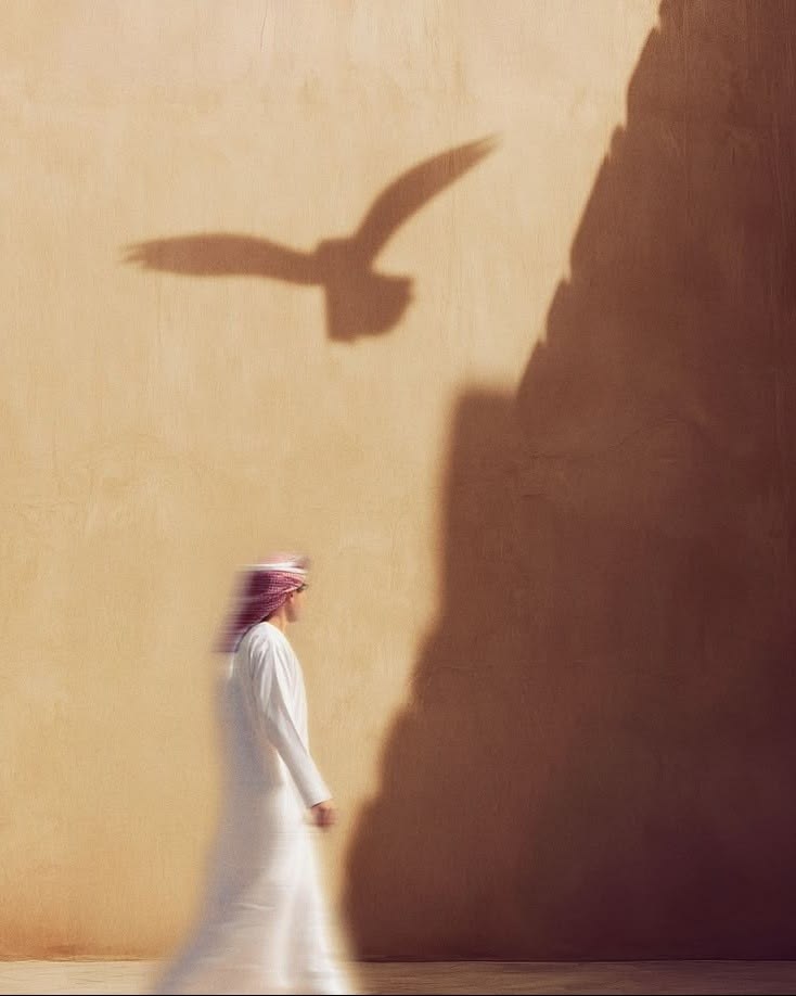 man walking with shadow of hawk on wall